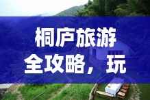 桐庐旅游全攻略,玩转桐城,尽享山水之美!