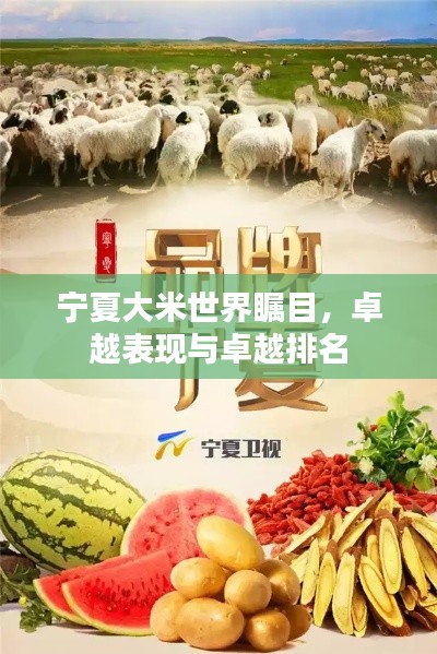 宁夏大米世界瞩目,卓越表现与卓越排名