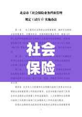 社会保险最新业务制度概览,保障民生,共建和谐社会