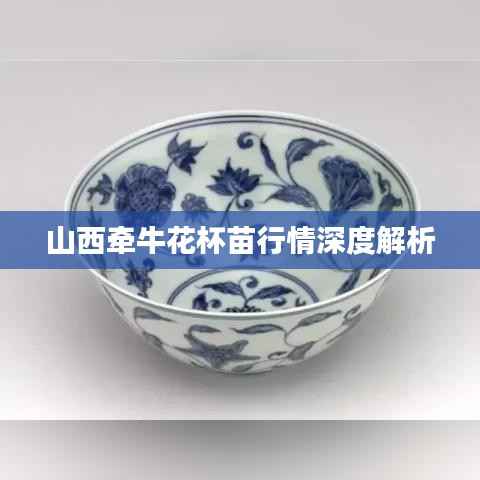 走马观花 第2页