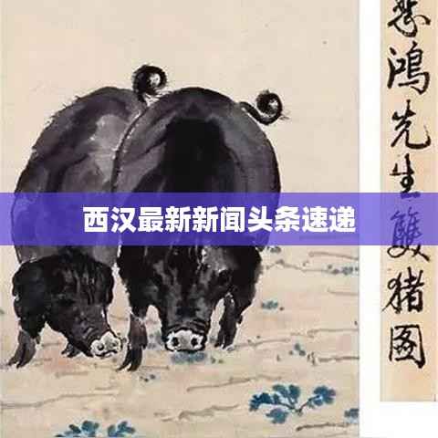 西汉最新新闻头条速递