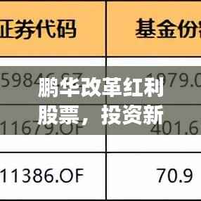 鹏华改革红利股票,投资新引擎,助力财富增长!
