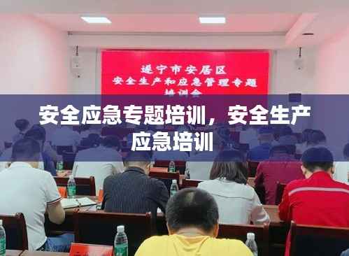 安全应急专题培训,安全生产应急培训