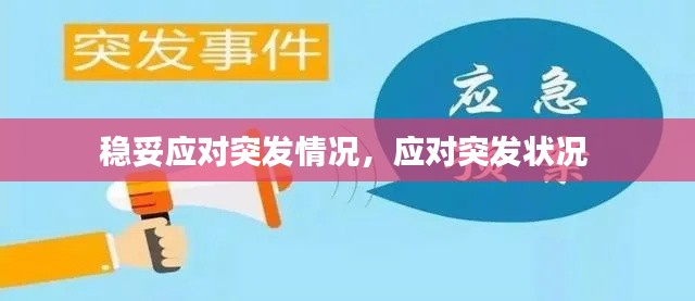 稳妥应对突发情况,应对突发状况