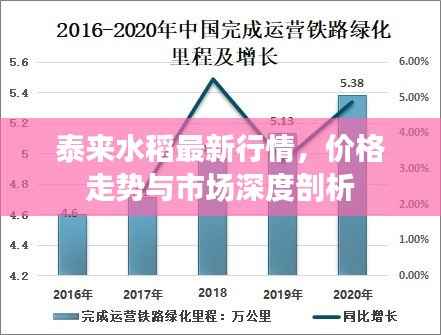 泰来水稻最新行情,价格走势与市场深度剖析