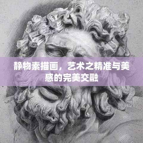 静物素描画，艺术之精准与美感的完美交融