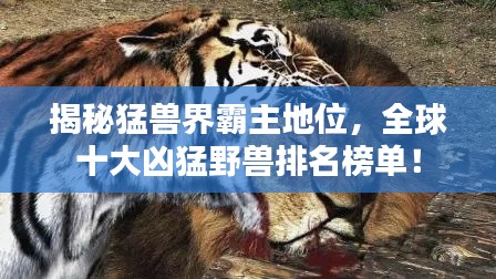 揭秘猛兽界霸主地位,全球十大凶猛野兽排名榜单!