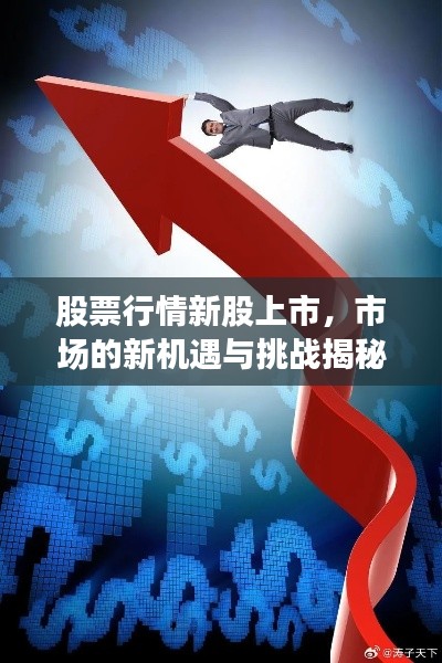 股票行情新股上市,市场的新机遇与挑战揭秘