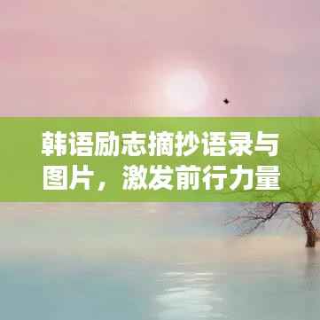 韩语励志摘抄语录与图片,激发前行力量的心灵驿站